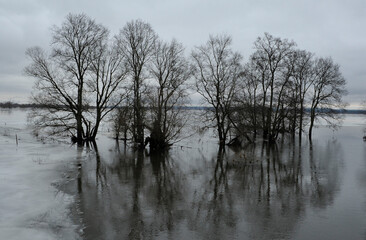 Floods on the River Oder