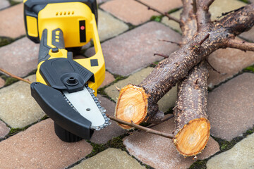 Small handheld lithium battery powered chainsaw with cutted twigs, branches of a fruit tree on a...