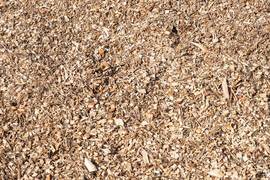 Pile of wood chips background, top view. Organic mulch. Waste from the woodworking industry, fuel and raw materials for heating solid fuel industrial boilers on wood chips.