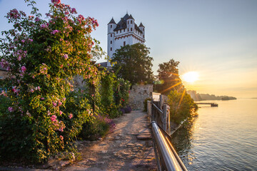 Eltwille on the Rhine, beautiful long exposure in the morning. Beautiful sunrise with castle and...