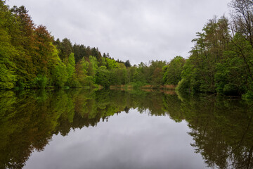 reflection of trees in water