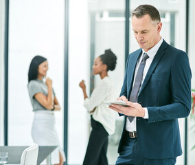 Businessman, tablet and research in workplace for project, typing and teamwork in office. Mature male person, technology and leadership in trading, stock market and diversity in international company