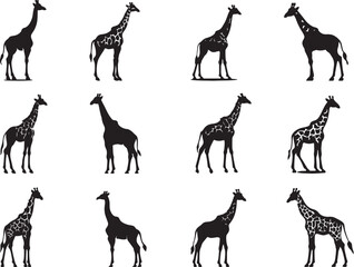 Giraffe Silhouette Vector Illustration