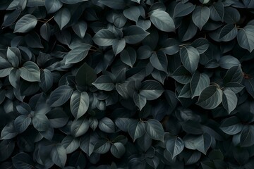 Dark leafy green foliage pattern as natural background