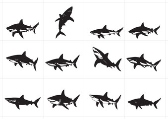 Shark Silhouette Vector Illustration