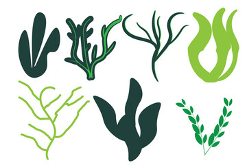 Laser cutting template. Seaweeds. Set of coral reef underwater plants vector isolated on white Aquarium alga set, ocean water plants silhouette. Paper cutout. Stamp. Stencil.