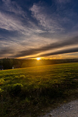 sunset over the meadow