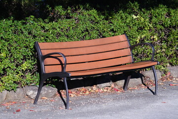 公園のベンチと落ち葉
