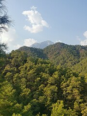 View from the forest to the top of Tahtali mountain in Turkey