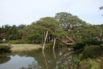 兼六園