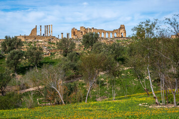 Panoramic view of Basilica and Capitol, Roman ruins. Archaeological Site of Volubilis. UNESCO World Heritage Site, Morocco
