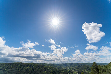 Bright sun shining in the blue sky among the trees