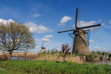 Fototapeta premium Kinderdijk in den Niederlanden