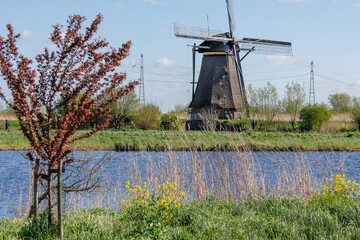 Kinderdijk in den Niederlanden