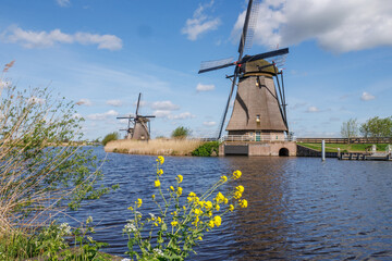 Kinderdijk in den Niederlanden