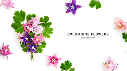 Columbine flowers floral composition frame isolated on white background.