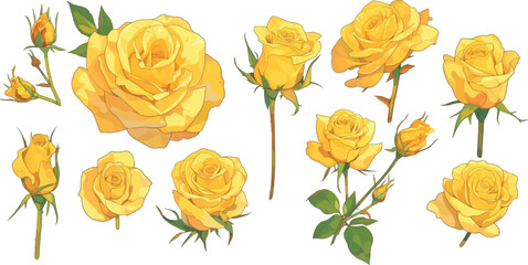 yellow rose clipart vector for graphic resources