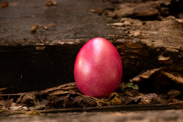 Chicken painted red egg stands on an old board on the street, Easter