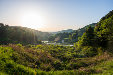 日本の岡山県美咲町の棚田の美しい風景