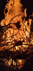 wood fire at home as charm relax