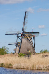 Naklejka premium Die Windmühlen von Kinderdijk