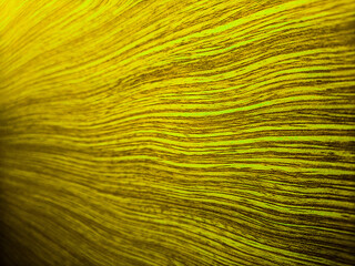 Classic retro bits of information, data travels at high speed.