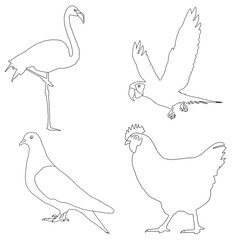 Bird Outline Illustration | Birds Clip Art Set | Bird Drawing Collection