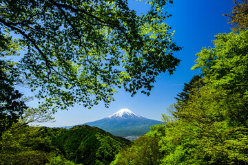 御坂峠から富士山ともみじ