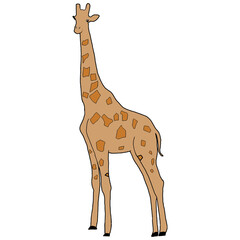 Obraz premium Cute Giraffe Illustration | Giraffe Clip Art | Giraffe Drawing