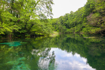 Crystal clear, green aquatic-plants full, waters of Sveti Naum (Saint Naum) springs on the Black Drim river near Ohrid lake, North Macedonia