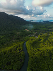 Aerial view green tropical mangrove junction forest to the sea bay