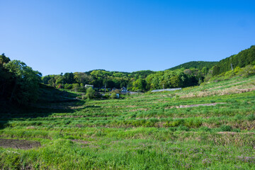 Fototapeta premium 日本の岡山県美咲町の棚田の美しい風景