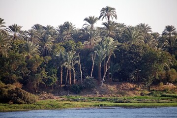 Landscape along the Nile river between Luxor and Aswan, Egypt