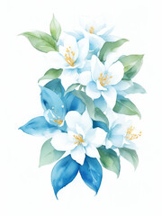 Jasmine flowers watercolor on white background , mother day flower