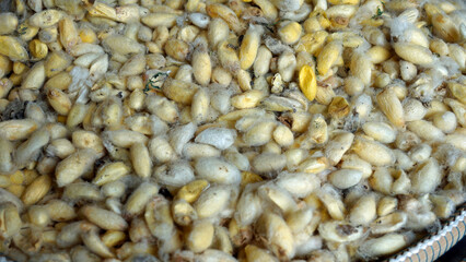 silk manufacture in phnom penh