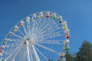 Ferris wheel in the park