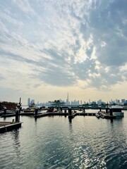 Fototapeta premium Modern city harbor with buildings and skyscrapers silhouette background