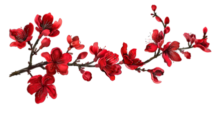 Branches of red flowers isolated on cutouts