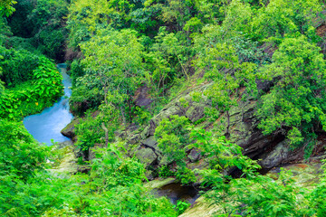 Forests and small streams are the natural beauty of Doi Suthep Pui National Park