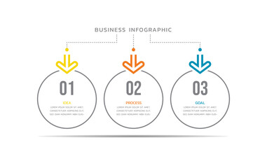 Vector infographics business template design