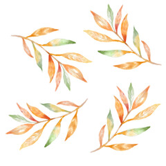 Watercolor floral set of green leaves, branches, twigs etc.  traced isolated greenery wallpaper pattern illustration.