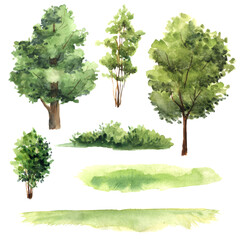 a set of watercolor illustrations of trees and grass for design customization. Isolated objects