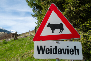 Road sign caution grazing cattle