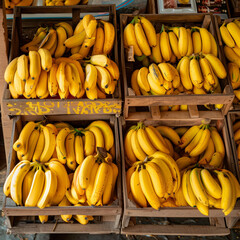 Ripe bananas in a box at the store, top view