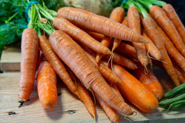 Bunch on fresh orange carrots with green on wooden box