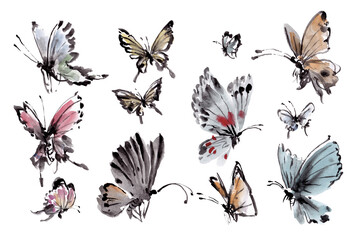 watercolor painting in traditional Chinese ink style , various kinds of flying butterfly.