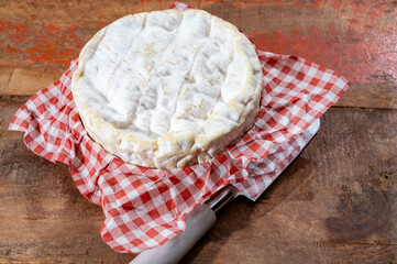 French soft Camembert cheese, original Camembert de Normandie, with white mold
