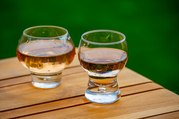 Brut apple cider from Betuwe, Gelderland, in glass, apple cider production in Netherlands