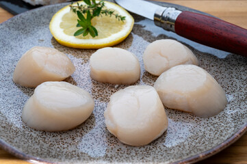 Atlantic bay scallops coquille St. James sea shells, catch of the day in Normandy or Brittany, France is shells and cleaned