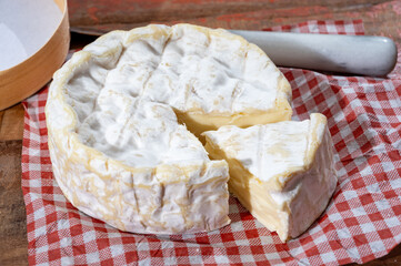 French soft Camembert cheese, original Camembert de Normandie, with white mold